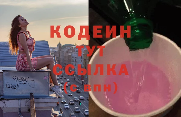 эйфоретик Бородино