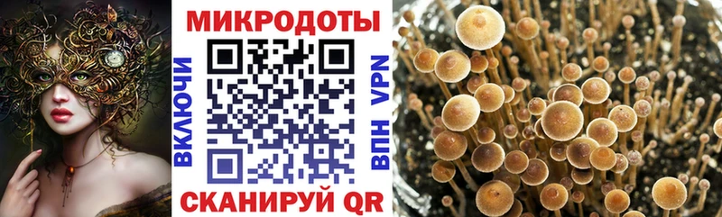кракен ONION цены наркотик дарк нет какой сайт Псилоцибиновые грибы Magic Shrooms Еманжелинск